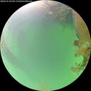 ./images/calvert/underwater/20260723/underwater20260723_101501M.jpg