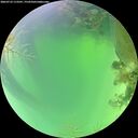 ./images/calvert/underwater/20260723/underwater20260723_113501M.jpg