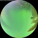 ./images/calvert/underwater/20260723/underwater20260723_114502M.jpg