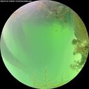 ./images/calvert/underwater/20260723/underwater20260723_120002M.jpg