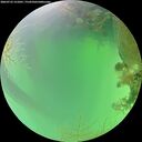 ./images/calvert/underwater/20260723/underwater20260723_121001M.jpg