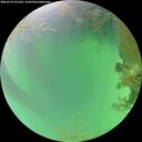 ./images/calvert/underwater/20260723/underwater20260723_121501M.jpg