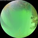 ./images/calvert/underwater/20260723/underwater20260723_122001M.jpg