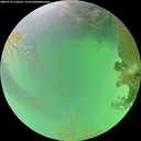 ./images/calvert/underwater/20260723/underwater20260723_122501M.jpg