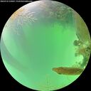 ./images/calvert/underwater/20260723/underwater20260723_124001M.jpg