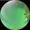 ./images/calvert/underwater/20260723/underwater20260723_124501M.jpg