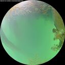 ./images/calvert/underwater/20260723/underwater20260723_125001M.jpg