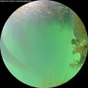 ./images/calvert/underwater/20260723/underwater20260723_125501M.jpg
