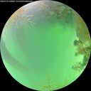 ./images/calvert/underwater/20260723/underwater20260723_130001M.jpg