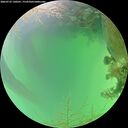 ./images/calvert/underwater/20260723/underwater20260723_130501M.jpg