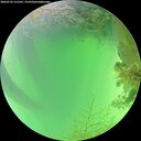 ./images/calvert/underwater/20260723/underwater20260723_131501M.jpg