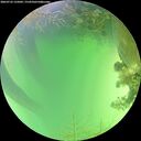 ./images/calvert/underwater/20260723/underwater20260723_135002M.jpg