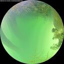 ./images/calvert/underwater/20260723/underwater20260723_135501M.jpg