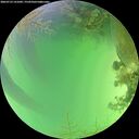 ./images/calvert/underwater/20260723/underwater20260723_141001M.jpg