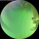 ./images/calvert/underwater/20260723/underwater20260723_141501M.jpg