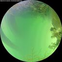 ./images/calvert/underwater/20260723/underwater20260723_142501M.jpg