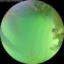 ./images/calvert/underwater/20260723/underwater20260723_143002M.jpg