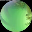 ./images/calvert/underwater/20260723/underwater20260723_150501M.jpg