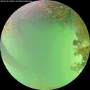 ./images/calvert/underwater/20260723/underwater20260723_153001M.jpg