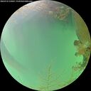 ./images/calvert/underwater/20260723/underwater20260723_154001M.jpg