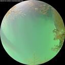 ./images/calvert/underwater/20260723/underwater20260723_154501M.jpg