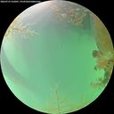 ./images/calvert/underwater/20260723/underwater20260723_162001M.jpg