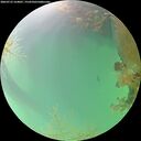 ./images/calvert/underwater/20260723/underwater20260723_164001M.jpg
