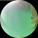 ./images/calvert/underwater/20260723/underwater20260723_164501M.jpg