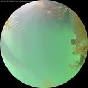 ./images/calvert/underwater/20260723/underwater20260723_170501M.jpg