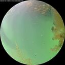 ./images/calvert/underwater/20260723/underwater20260723_172001M.jpg
