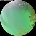 ./images/calvert/underwater/20260723/underwater20260723_174501M.jpg