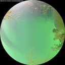 ./images/calvert/underwater/20260723/underwater20260723_175502M.jpg