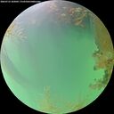 ./images/calvert/underwater/20260723/underwater20260723_182001M.jpg