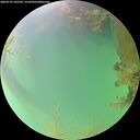 ./images/calvert/underwater/20260723/underwater20260723_182501M.jpg