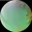 ./images/calvert/underwater/20260723/underwater20260723_183001M.jpg