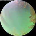 ./images/calvert/underwater/20260723/underwater20260723_191001M.jpg