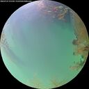 ./images/calvert/underwater/20260723/underwater20260723_191501M.jpg