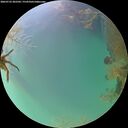 ./images/calvert/underwater/20260723/underwater20260723_202501M.jpg