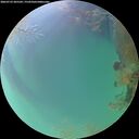 ./images/calvert/underwater/20260723/underwater20260723_205501M.jpg