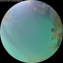 ./images/calvert/underwater/20260723/underwater20260723_211002M.jpg