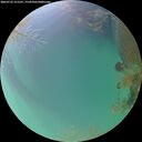 ./images/calvert/underwater/20260723/underwater20260723_211501M.jpg