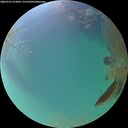 ./images/calvert/underwater/20260723/underwater20260723_212001M.jpg