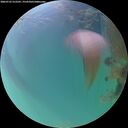 ./images/calvert/underwater/20260723/underwater20260723_212501M.jpg