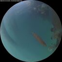 ./images/calvert/underwater/20260723/underwater20260723_215501M.jpg