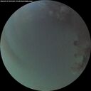 ./images/calvert/underwater/20260723/underwater20260723_221502M.jpg