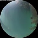 ./images/calvert/underwater/20260724/underwater20260724_053501M.jpg