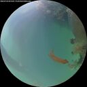 ./images/calvert/underwater/20260724/underwater20260724_055501M.jpg