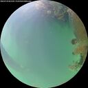 ./images/calvert/underwater/20260724/underwater20260724_061502M.jpg