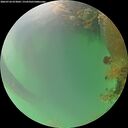 ./images/calvert/underwater/20260724/underwater20260724_073001M.jpg