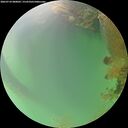 ./images/calvert/underwater/20260724/underwater20260724_080002M.jpg